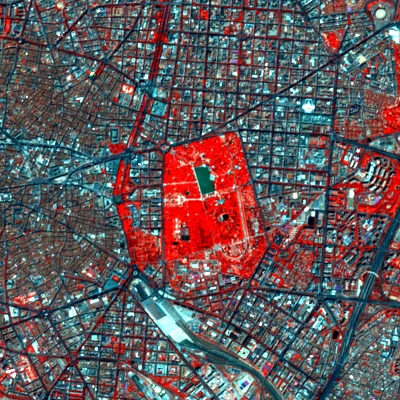 Near-infrared false color image