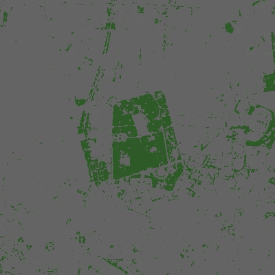 Binary vegetation mask